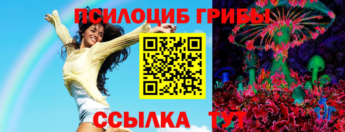 Протвино  Псилоцибиновые грибы прущие грибы  Вход с VPN 